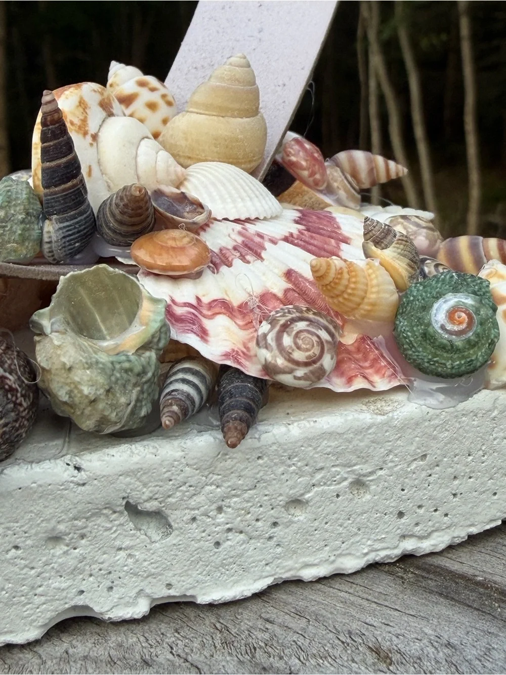 Coastal Decor | Tealight Candle | SeaShell Sculpture